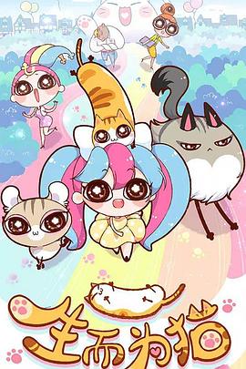 抚顺seo网站优化报价